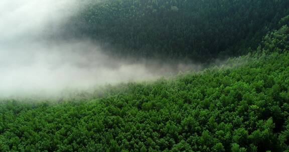 航拍大兴安岭山川云海风光