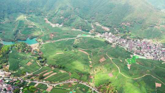 杭州龙坞西湖龙井茶园风景航拍