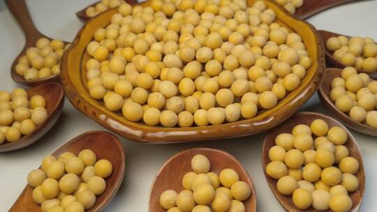 4K黄豆食品健康有机农产品