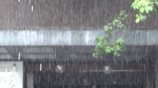 雨水 下雨 雨天 雨 细雨 下雨天 雨季视频素材模板下载