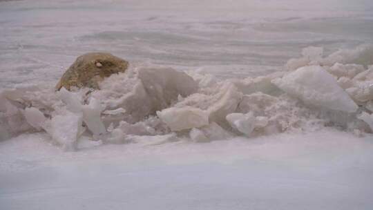 河流冰雪融化景象