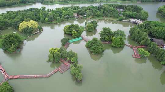 广州海珠湖湿地景观航拍