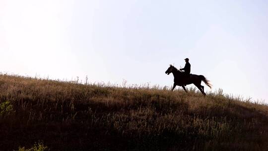 骑着马奔跑在草原上的人剪影