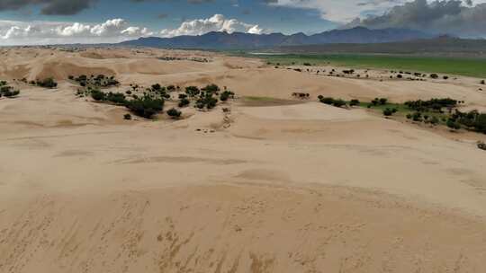 蒙古的沙丘