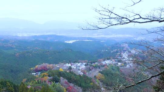 日本吉野山风景