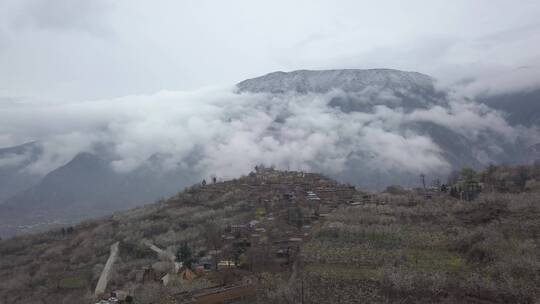 阿坝州 汶川  羌寨 雪山 车厘子花未调色