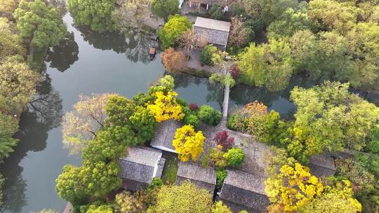 杭州秋天 西溪湿地 手摇船 湿地博物馆视频素材模板下载