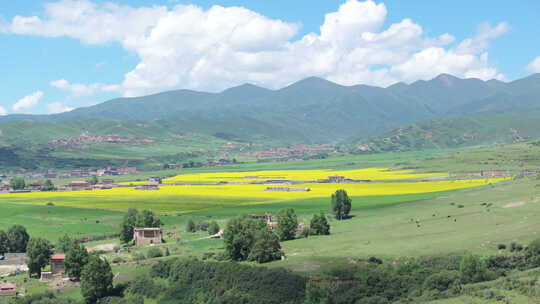 四川阿坝县夏季全景风光