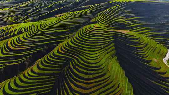 西北梯田地貌