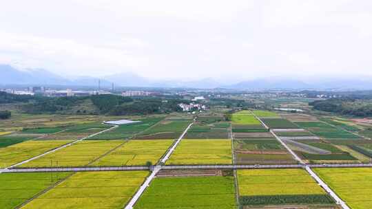 航拍韶关乐昌长来美丽乡村风景