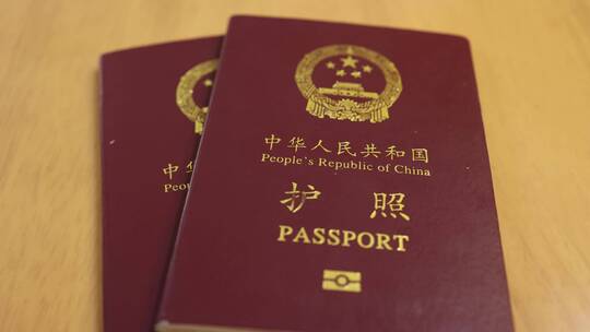 【4K】护照PASSPORT