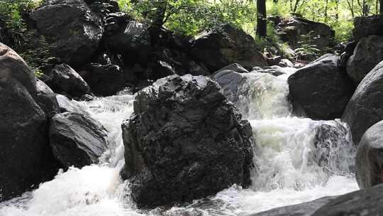 森林中 山泉小溪水