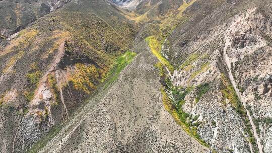 无人机航拍西藏林芝地区高山上的一抹秋景