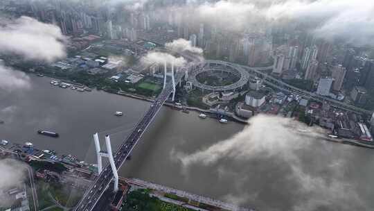 上海云海 平流雾 上海穿云 南浦大桥