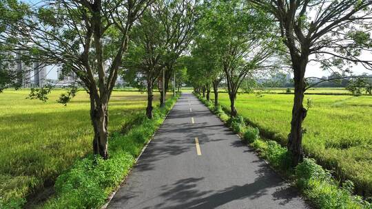 中国广州市增城区丝苗米省级现代农业产业园