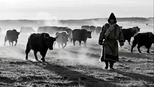 立冬牧民雪原行走震撼史诗感画面