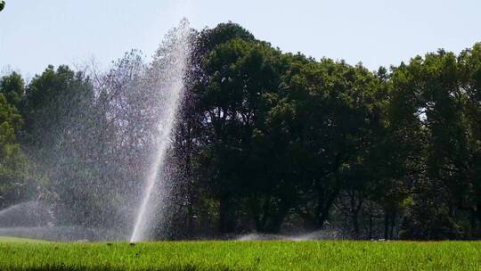 城市草坪洒水喷水逆光升格视频