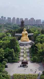 竖屏航拍重庆华岩旅游风景区华岩寺