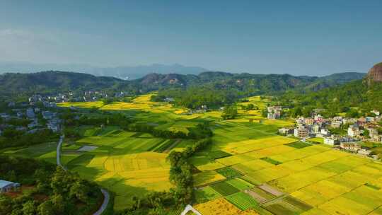 航拍日出乡村田园风光田野稻田