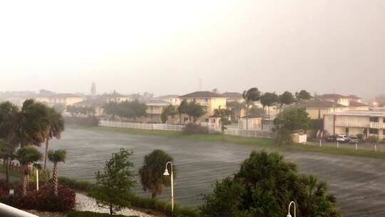 大雨倾盆的视频