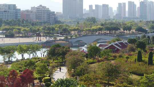 厦门 海沧 马銮湾 湿地公园 落羽杉