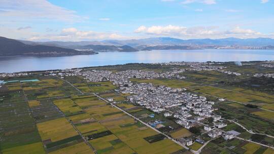 云南大理洱海秋天秋色稻田湖泊高清航拍素材