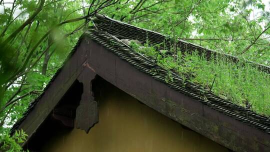 139 杭州 寺庙 古建筑 下雨天 屋顶