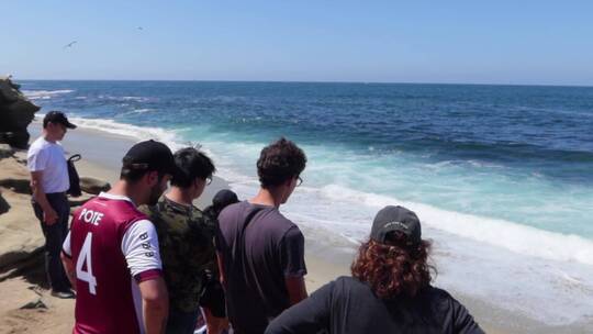 游客看着海浪涌向海岸