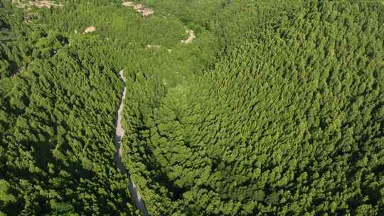 铜川旅游药王山铜川地标景点药王山雕像