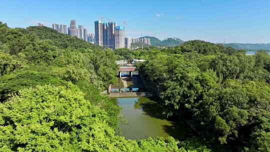 4K 深圳东湖公园深圳水库