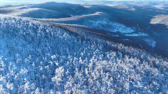 航拍黎明时的大兴安岭林海雪原