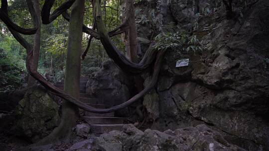 杭州飞来峰灵隐寺青林洞