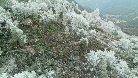 航拍三峡雪景