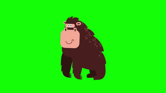 动物黑猩猩卡通动画