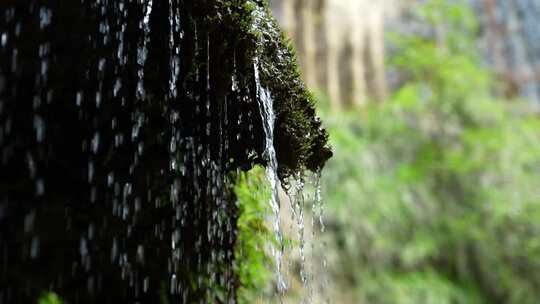 大自然森林流水高山峡谷