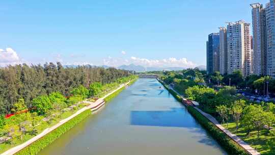 深圳大沙河视频素材模板下载