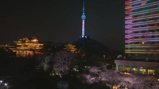 武汉汉阳江滩晴川阁公园和樱花风光