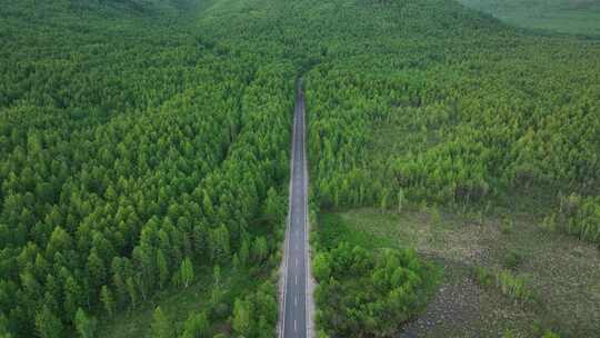 航拍山谷绿色林海山路