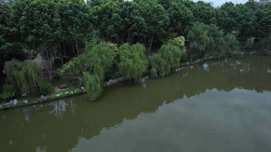 城市绿地城中湖航拍