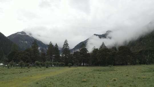 4k超清川西高原航拍湖泊牧场山谷牛群马匹