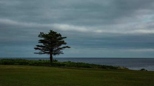 大洋海岸 阴天海岸 阴天海景