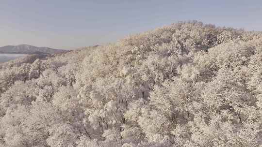 冰天雪地东北雾凇雪山