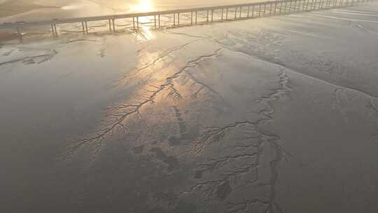 海宁市嘉绍大桥钱塘江畔大地之树