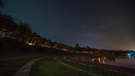 湖边格桑花海星空银河