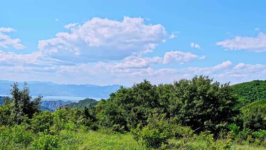 夏季蓝天白云绿色大山山顶全景风光