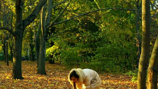 年轻的女孩在森林里扔着黄色的秋叶