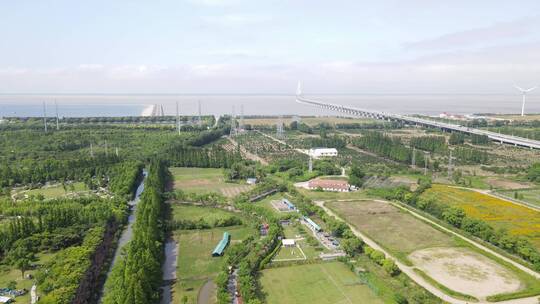 上海崇明区长兴岛郊野公园4K航拍视频素材模板下载