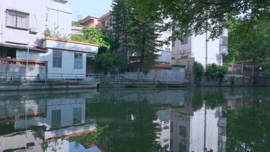 广州海珠区小洲村河道林荫绿树倒影