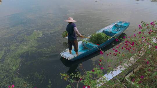 清理湖水视频东莞中堂镇中心湖小船垃圾清理