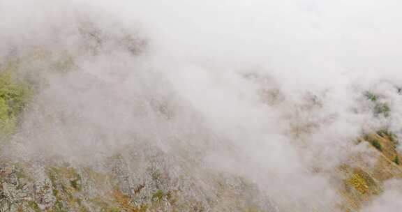 云雾缭绕的山丘